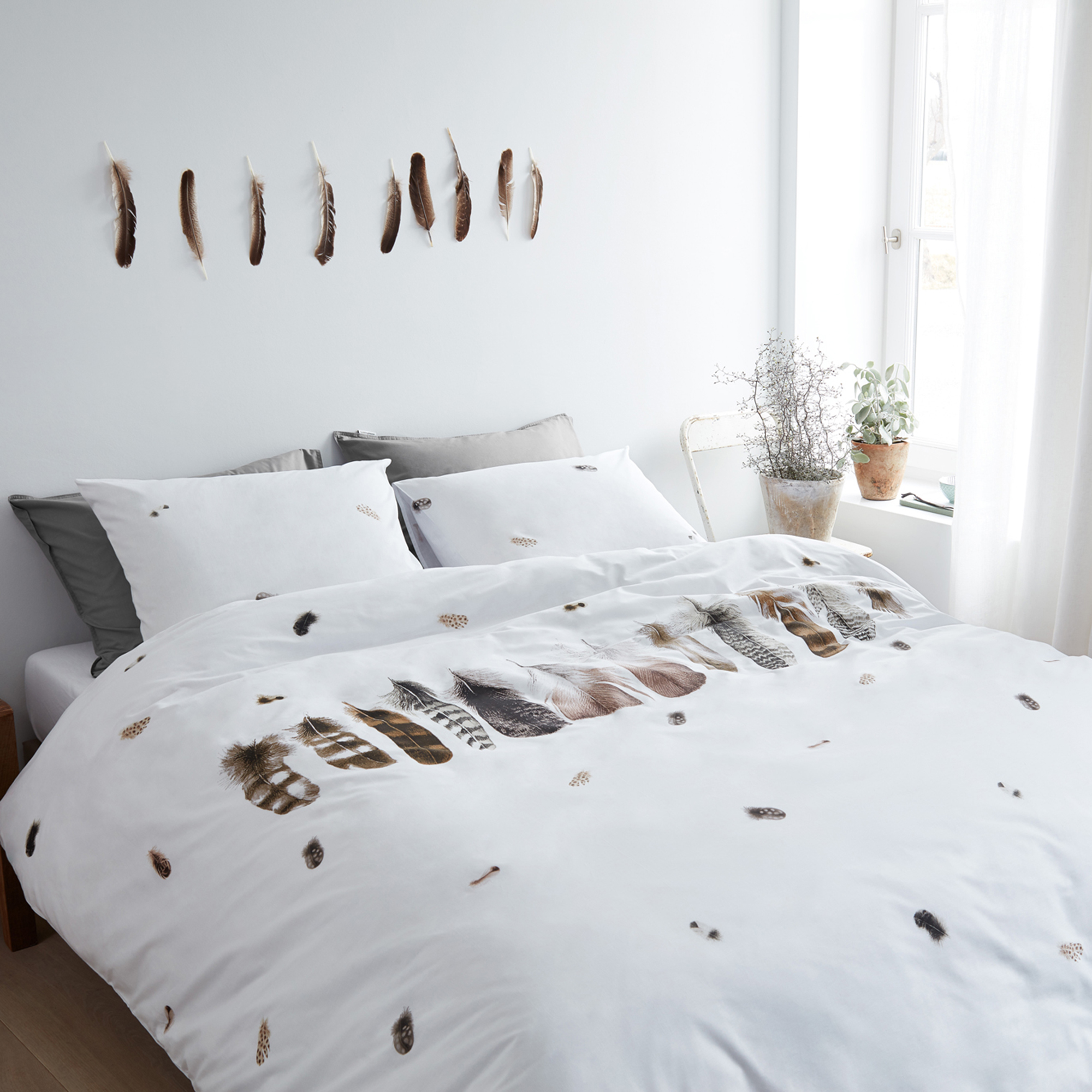White Wild Feathers Cotton Quilt Cover Set Temple Webster