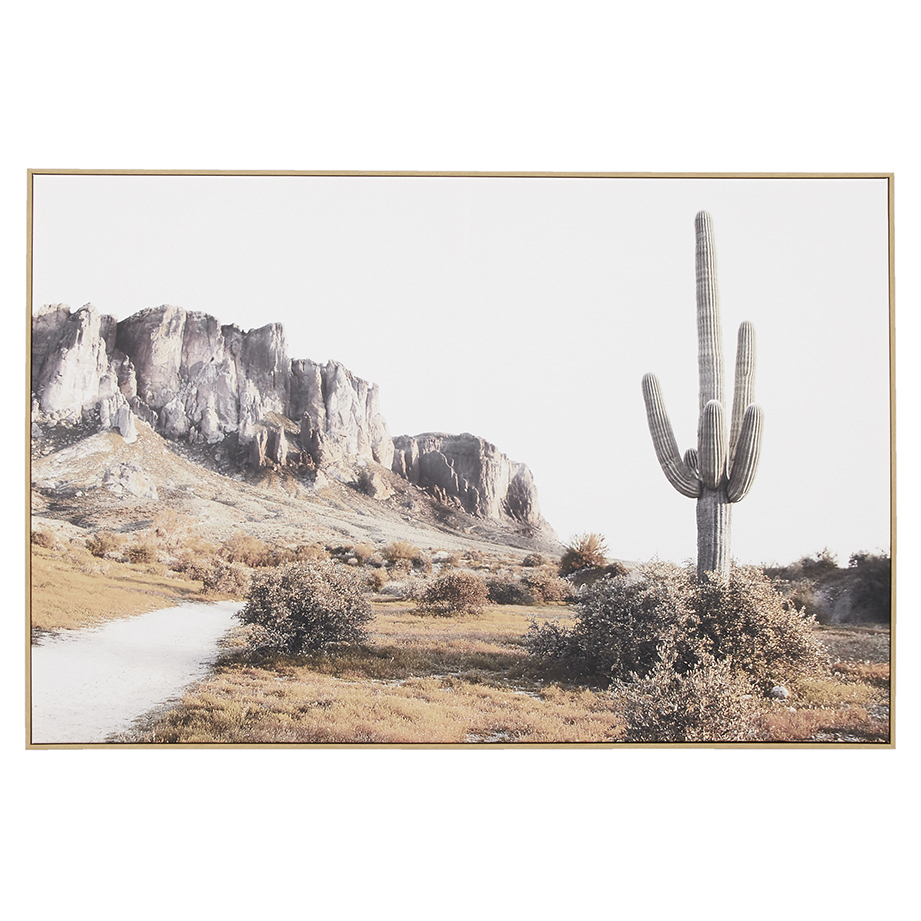 Temple Webster Cactus Country Framed Canvas Wall Art Reviews