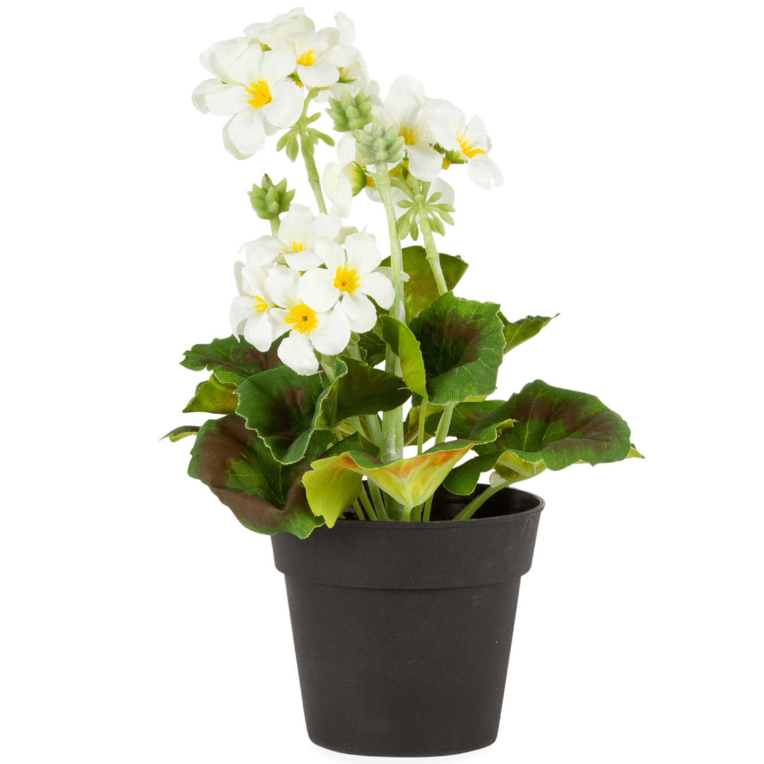 Highst 25cm Potted Faux White Geranium Plant Reviews Temple Webster