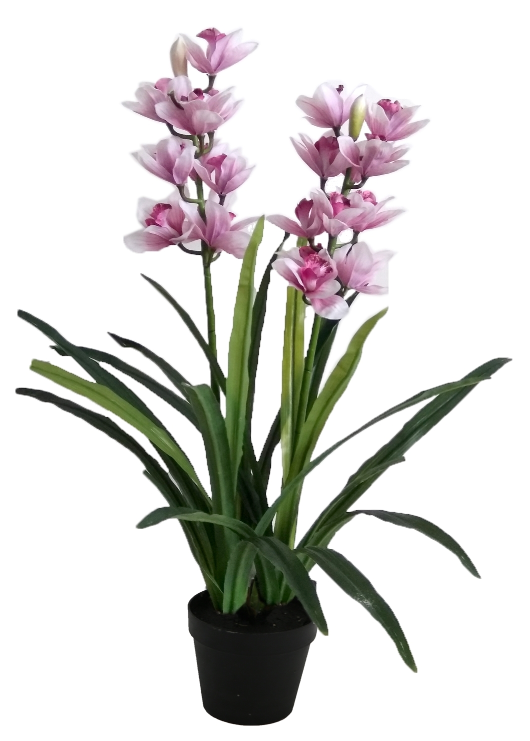 Highst 100cm Potted Faux Cymbidium Orchid Plant Reviews Temple Webster
