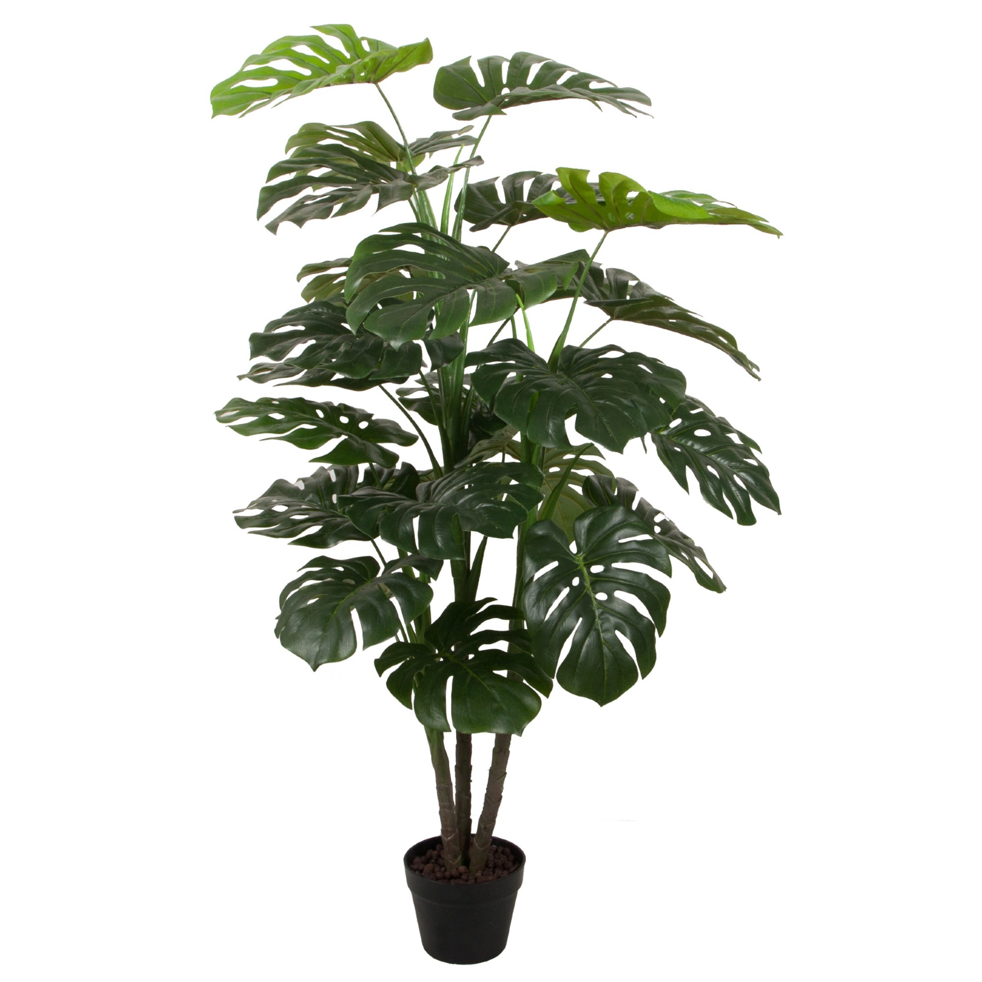 Cooper Cohomewares 140cm Potted Faux Monstera Plant Reviews Temple Webster