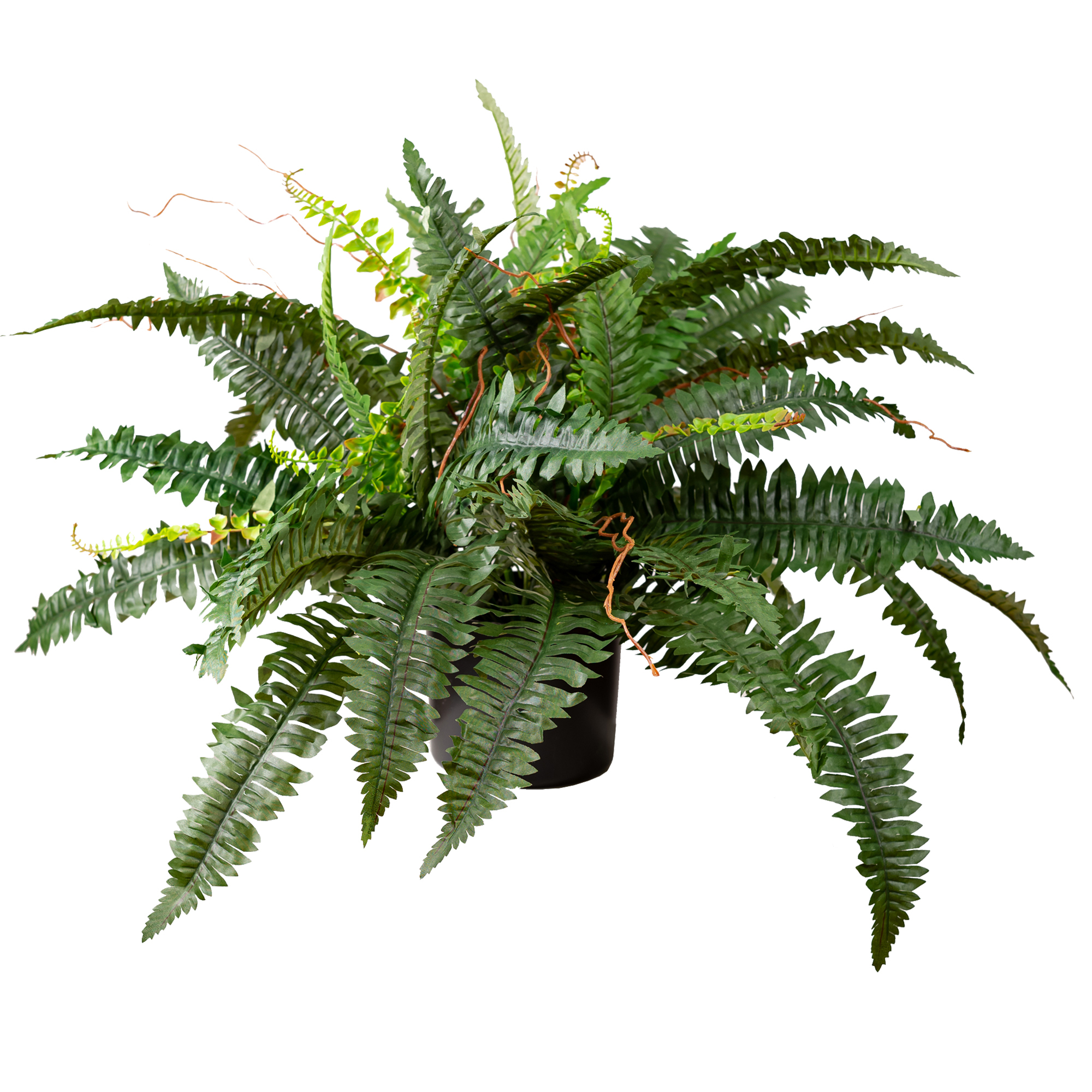 Glamorousfusion 2 Piece Potted Faux Boston Fern Set & Reviews 