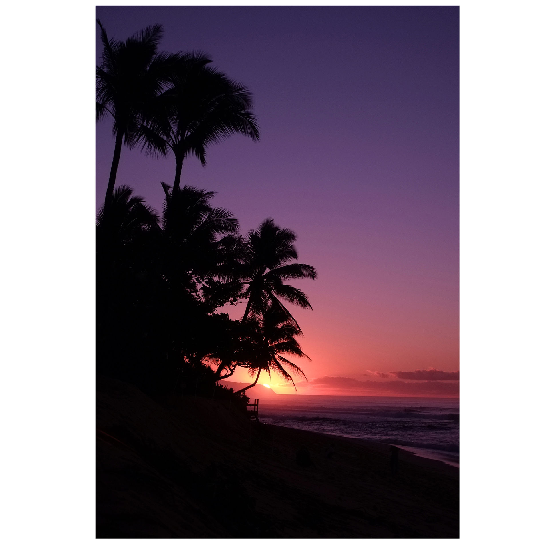 Hawaiian Sunset Printed Wall Art Temple Webster