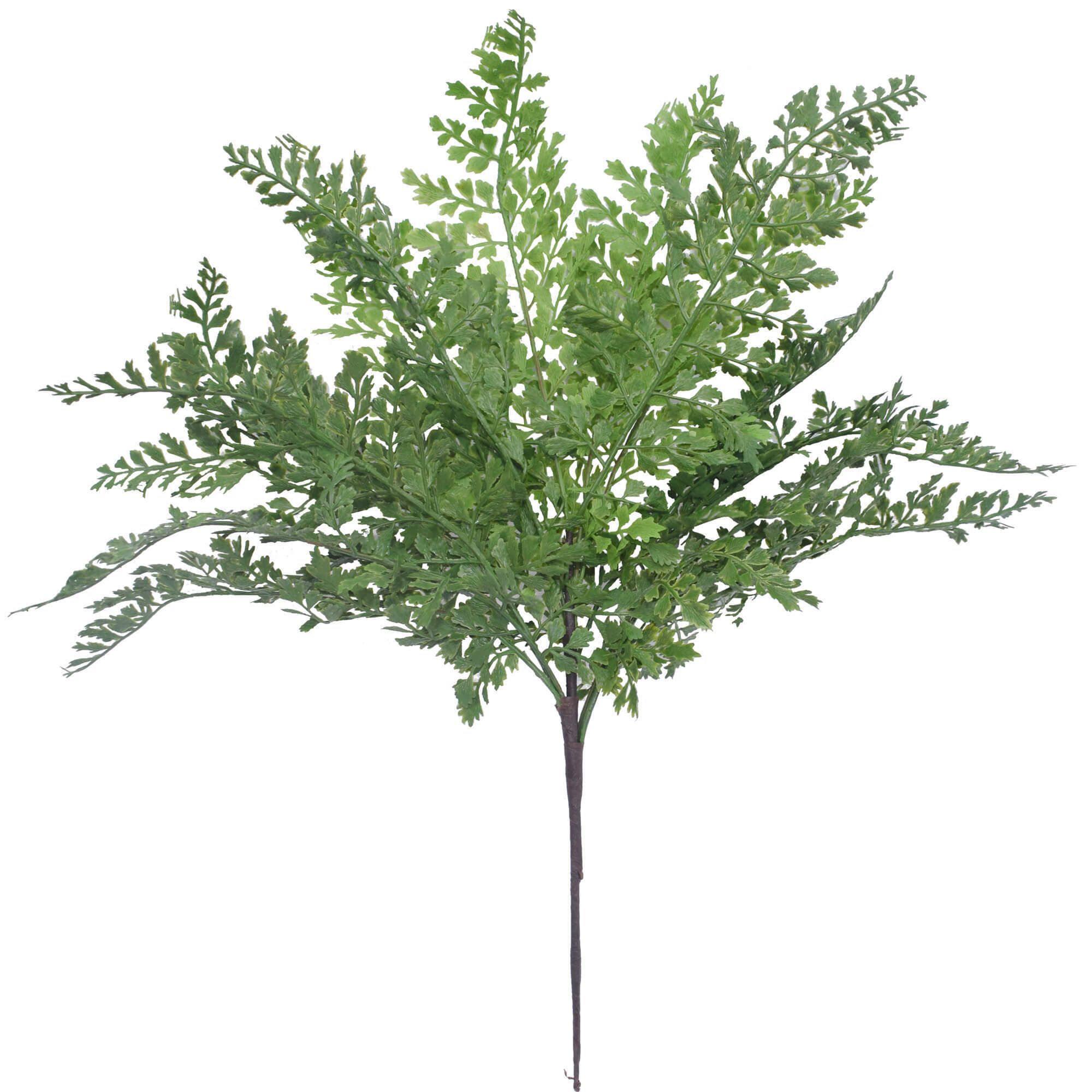 Faux Madenhair Fern Plant