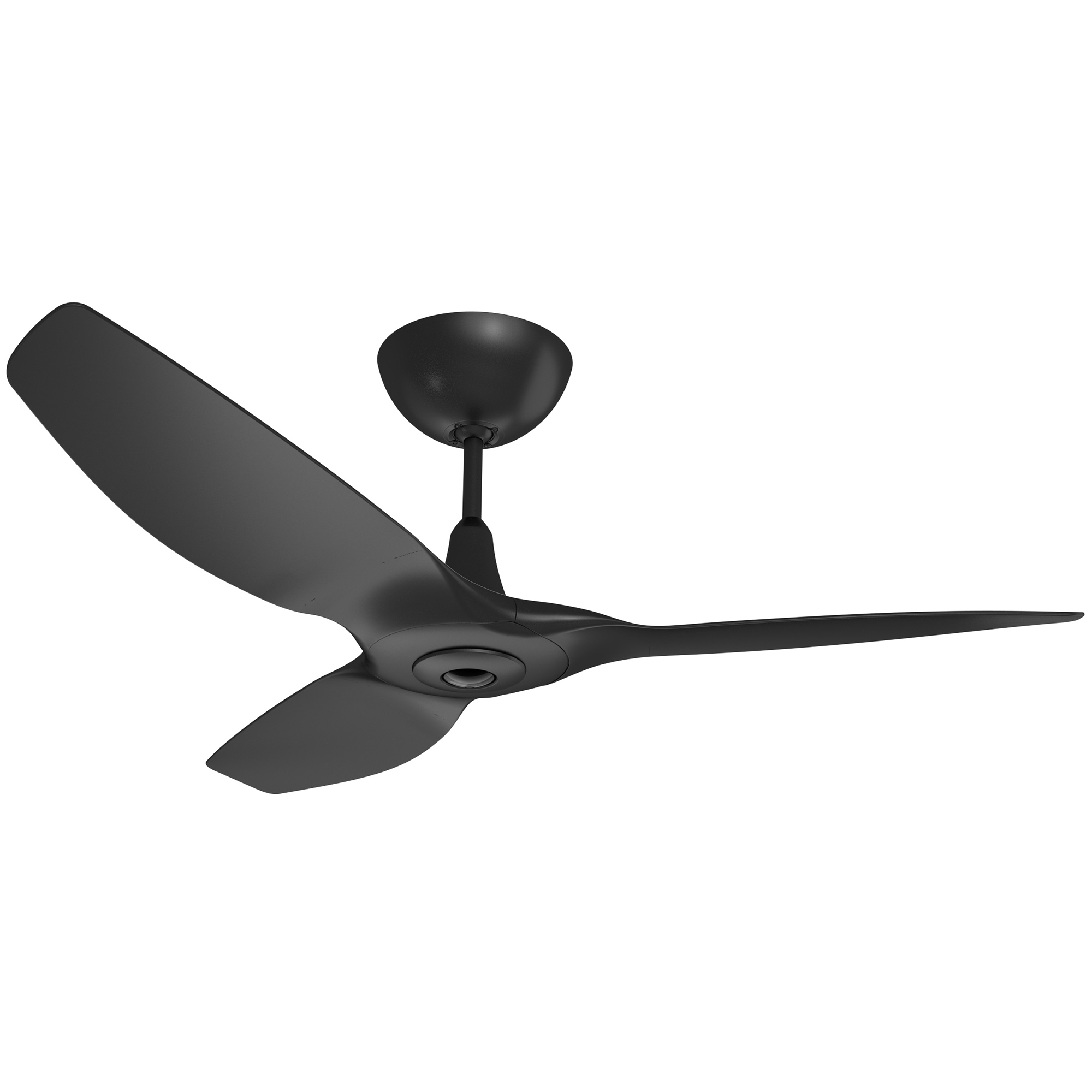 Haiku Universal Ceiling Fan Temple Webster