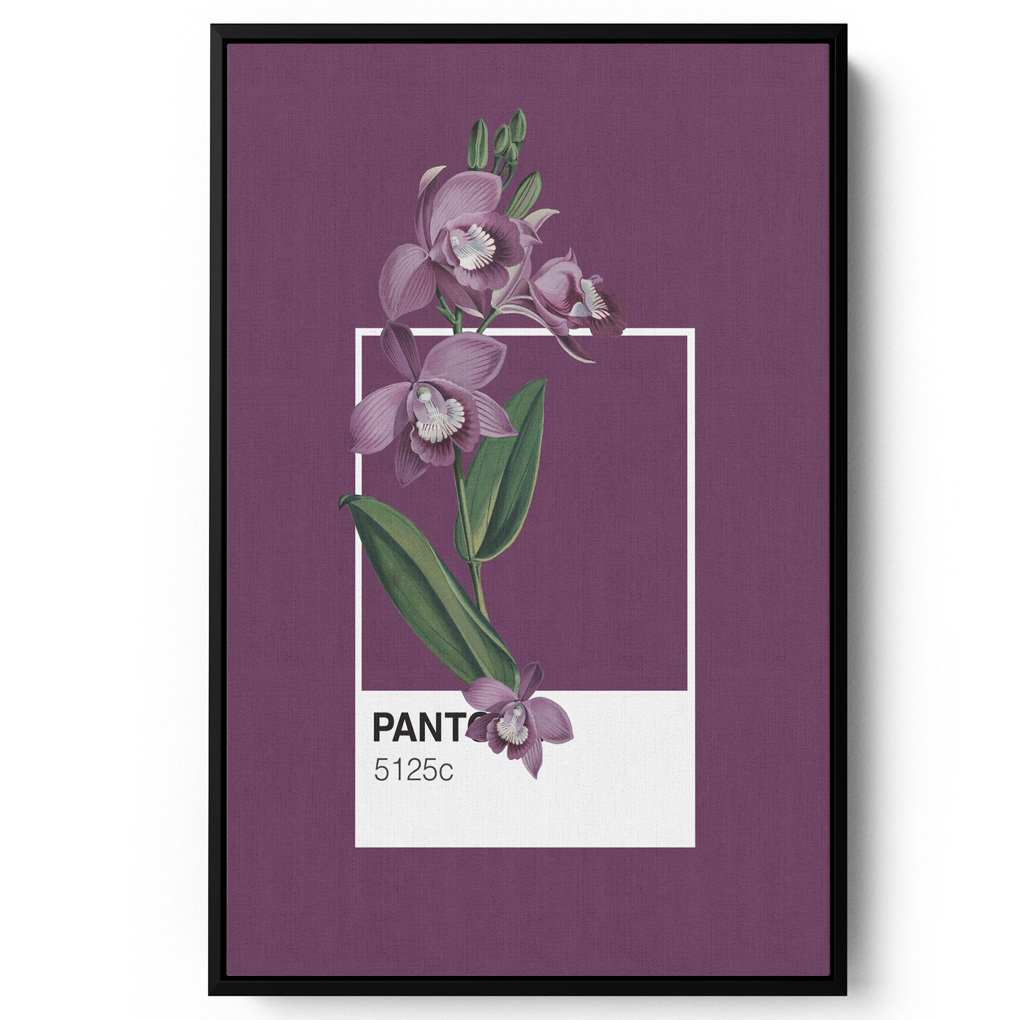 Purple Orchid Framed Print Wall Art Temple Webster