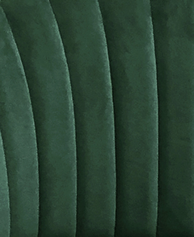 Gorgeous green velvet Gorgeous green velvet