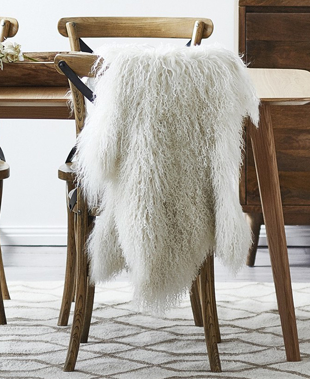 Woollen delight Woollen delight