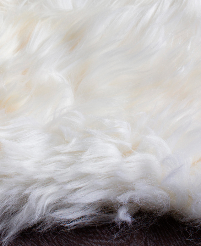 Network Rugs Natural White Sheepskin Rug | Temple & Webster