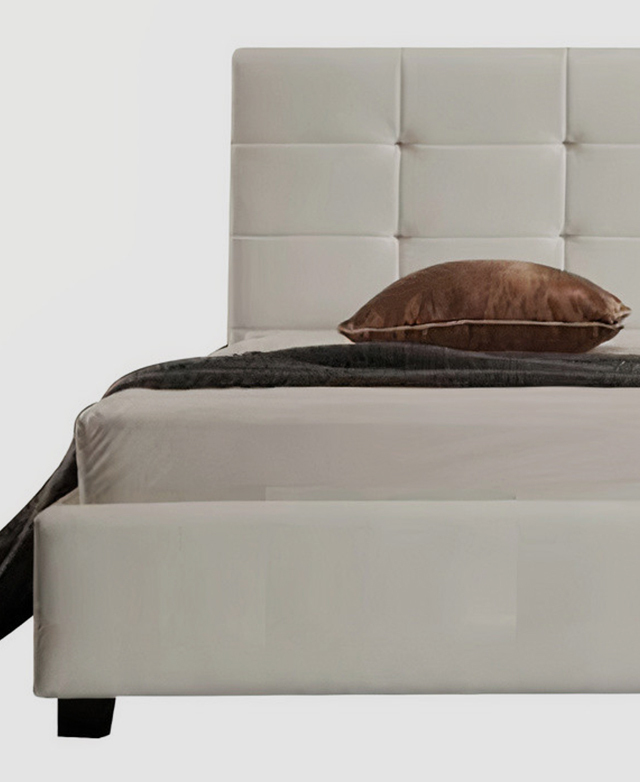 Bold & sleek Bold & sleek