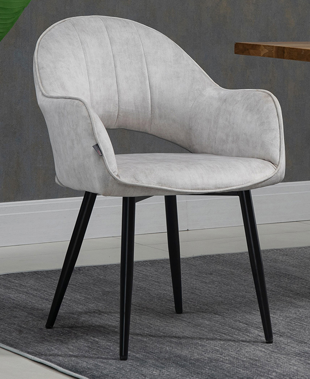 CoraHomeLiving Carmie Velvet Dining Chairs | Temple & Webster