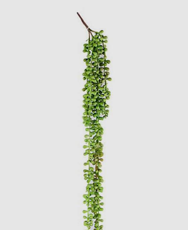 Enrich your vertical space Enrich your vertical space
