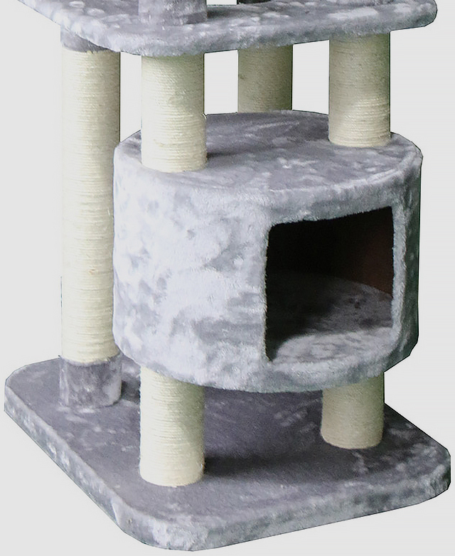Purrfect for any home Purrfect for any home