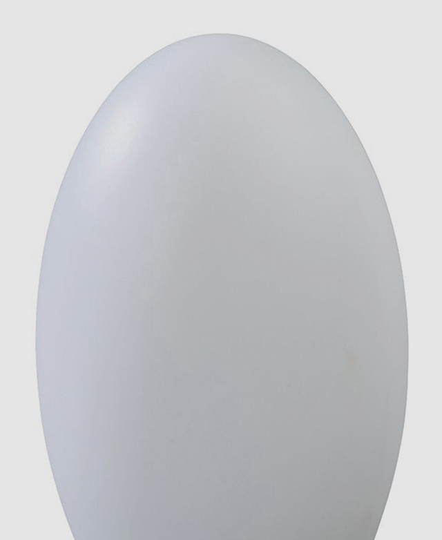 A good egg A good egg