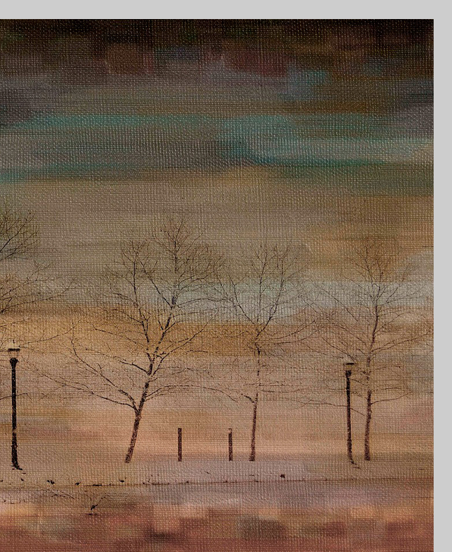 Textured trees Textured trees