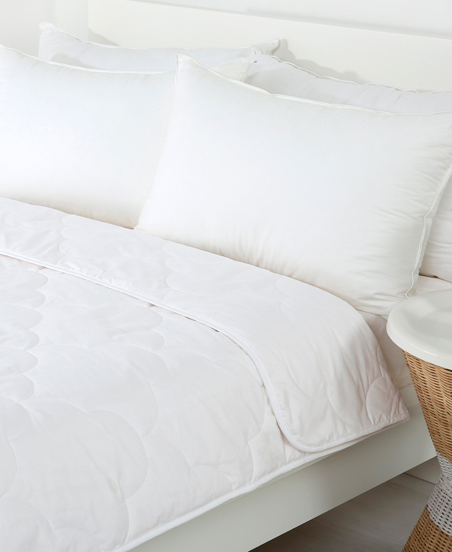 Dreamaker Super King Cotton Quilt Temple & ster