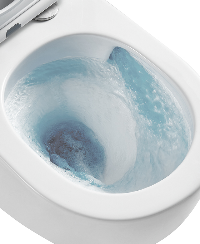 Advanced flushing system Advanced flushing system