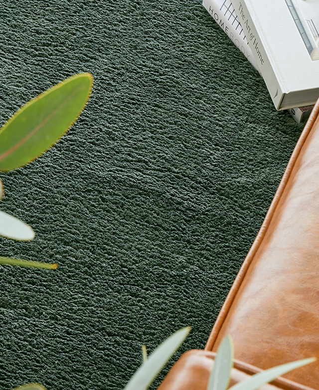 Bird's eye view shows an emerald green rug next to a tan leather rug, and it has a stack of books on top of it.