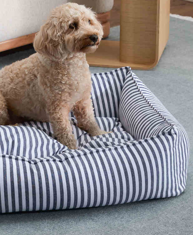 Durable and soft fill