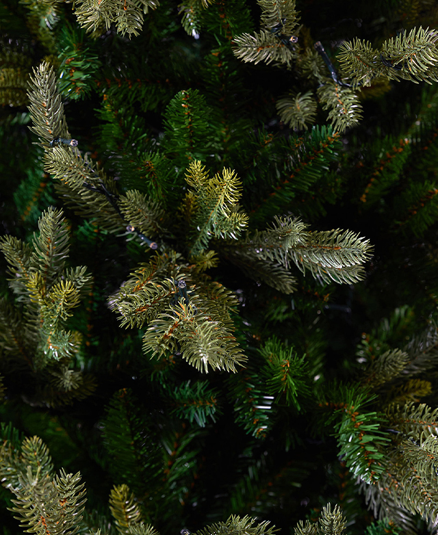 Adjustable branches