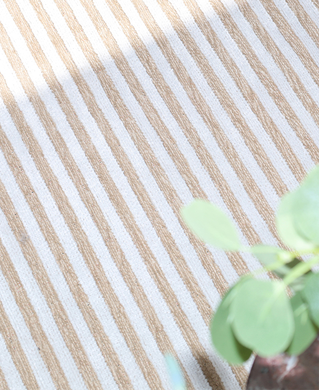 Striped definition