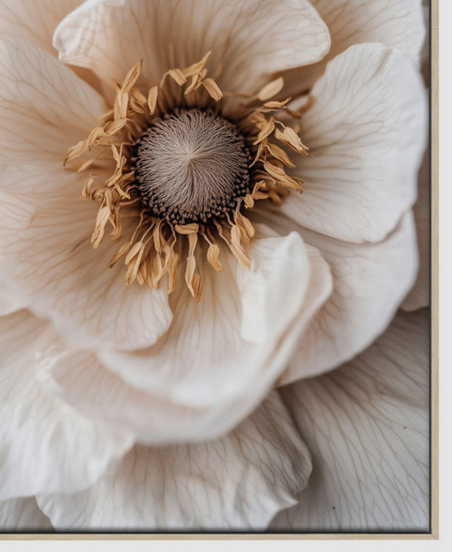 Gallery-quality looks