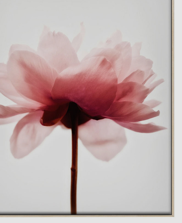 Gallery-quality looks