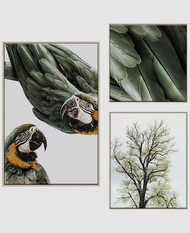 Revitalising colour story