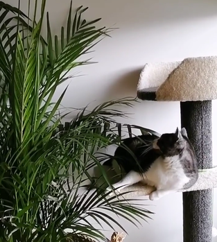 review image 0