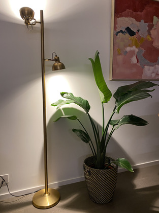 review image 1