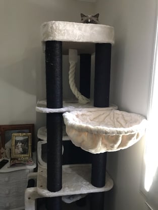 review image 5