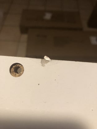 review image 2