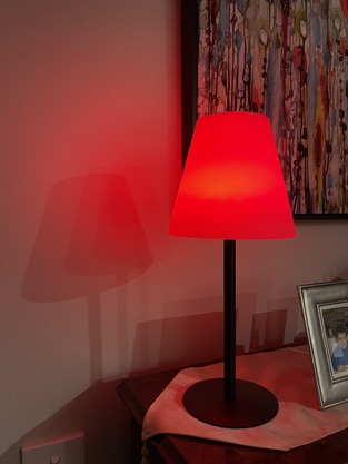 review image 1