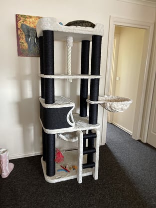 review image 2
