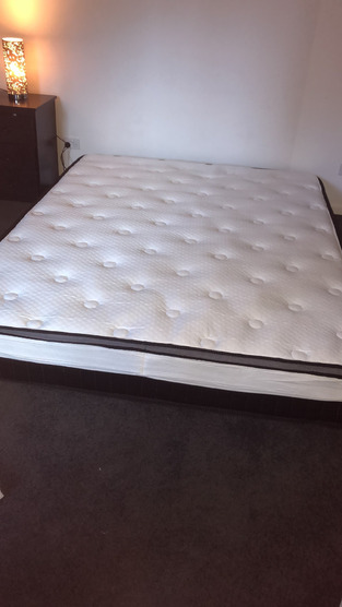 Osteopedic Medium Osteopedic Euro Top Pocket Spring Mattress | Temple ...