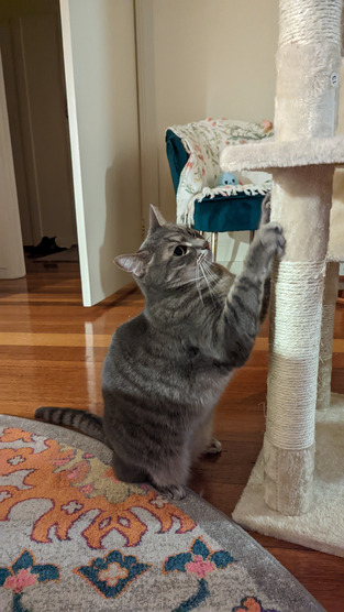 review image 1