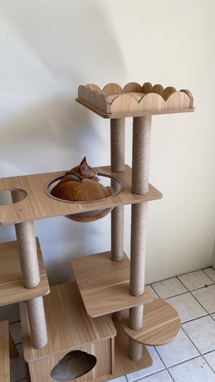 review image 1