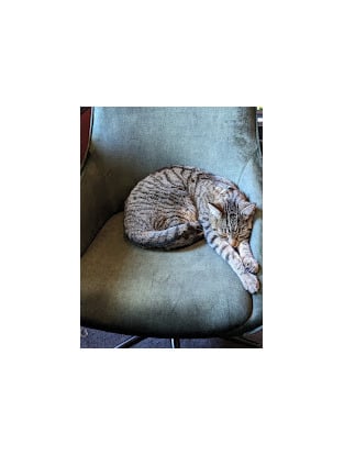 review image 1
