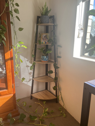 review image 1