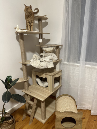 LivingFusion 174cm Athena Cat Tree | Temple & Webster