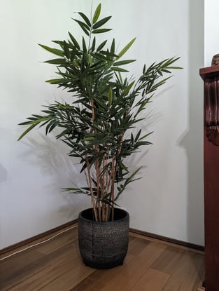 review image 1