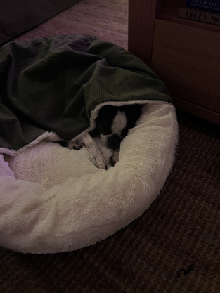 review image 4