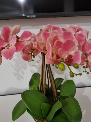 review image 2