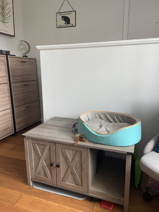 review image 1