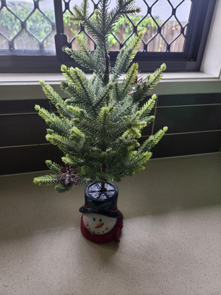 review image 1
