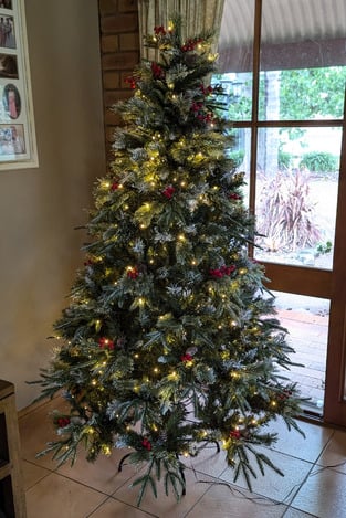 review image 1