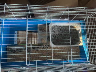 review image 1