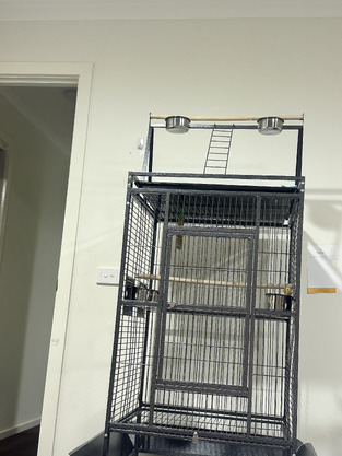 review image 1