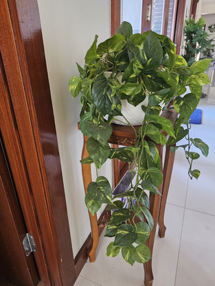 review image 1