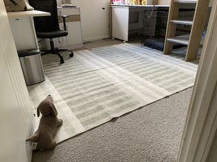 Green Madison Machine Washable Rug